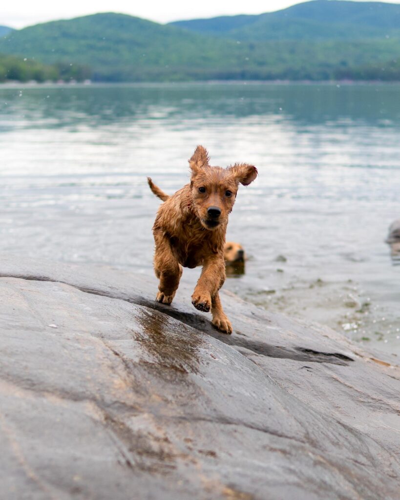 lakeside dig photography event, great Sacandaga lake, upstate NY
