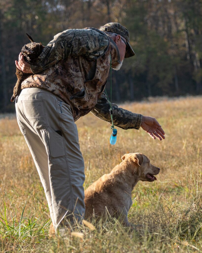 AKC senior hunt test photography by Mike Hosier