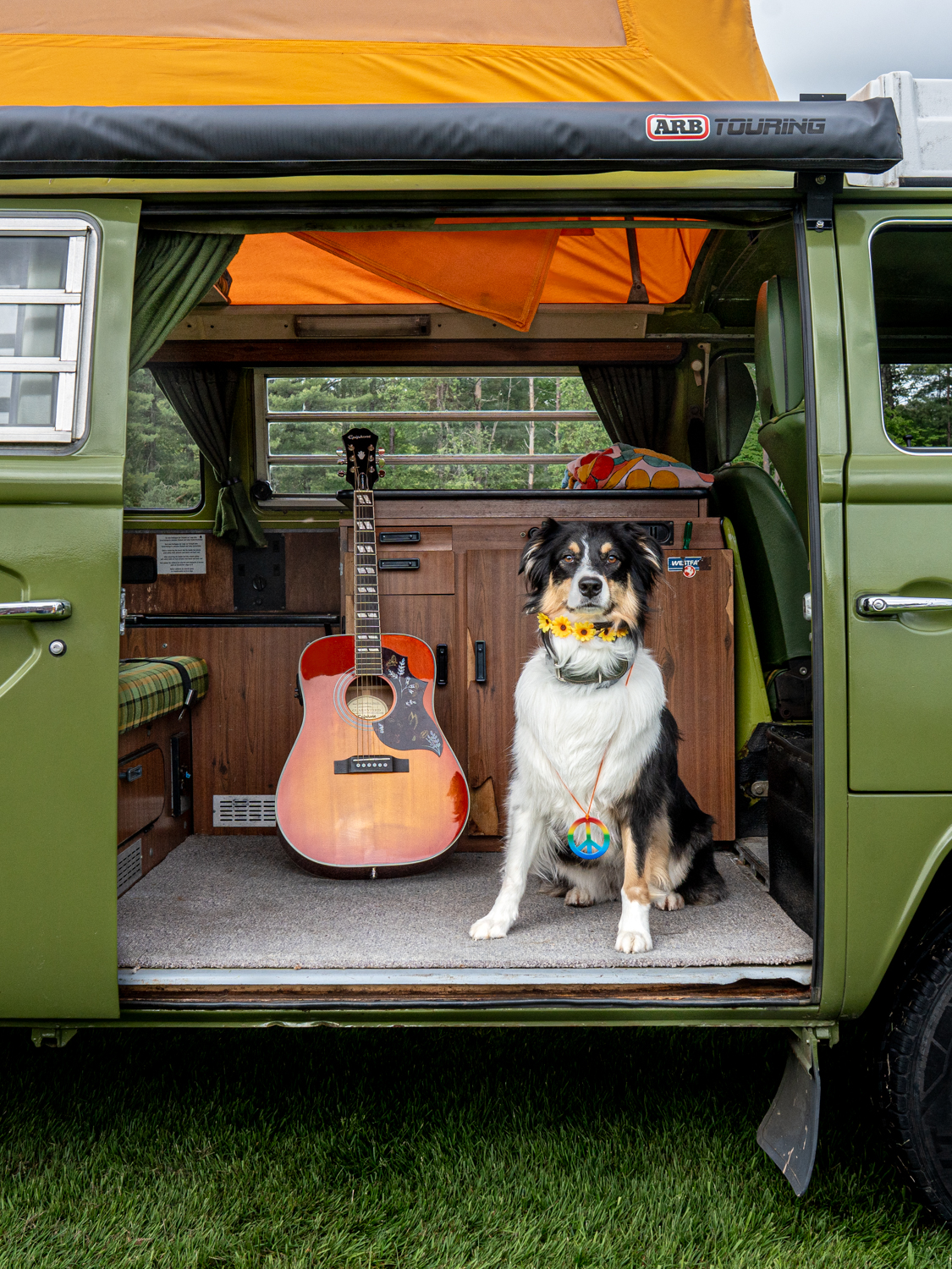 upstate ny dog photography