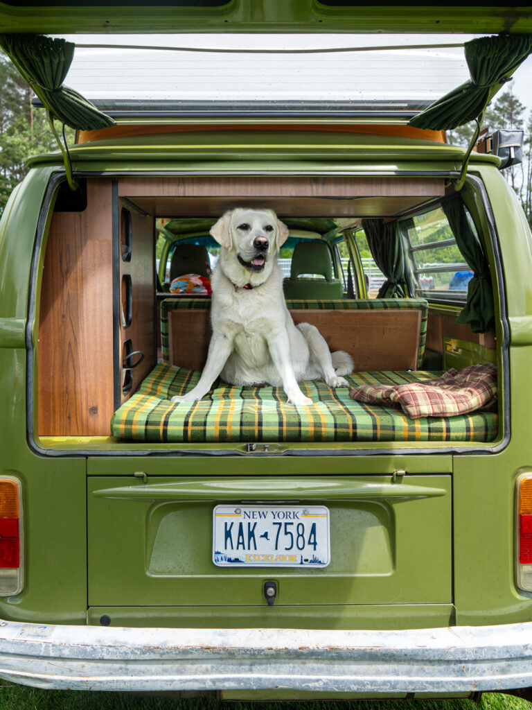 upstate ny dog photography