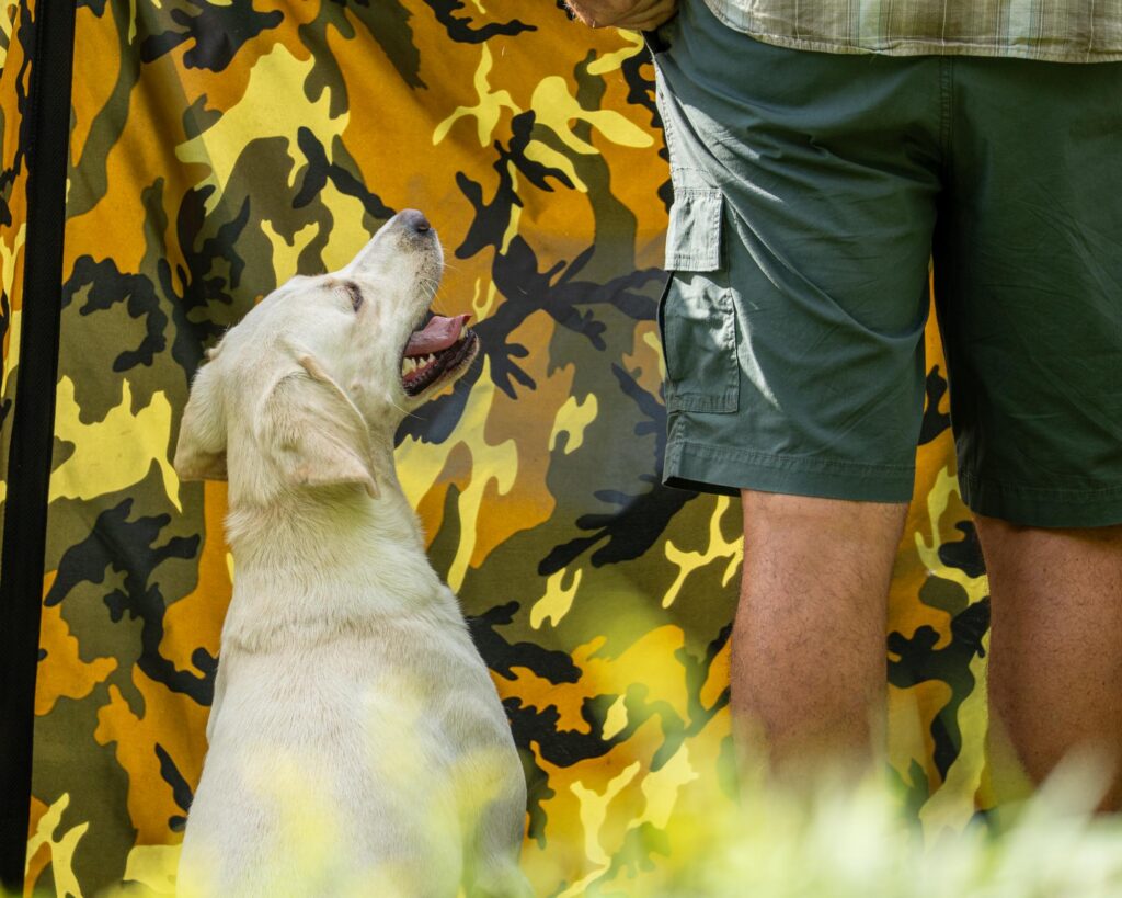 in the blind, hunt test photography by mike hosier