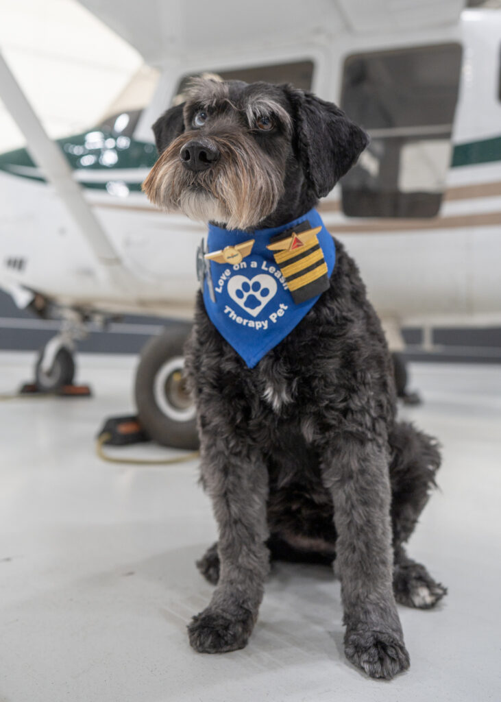 Private Plane Dog Pilot - upstate NY Dog Photographer Mike Hosier
