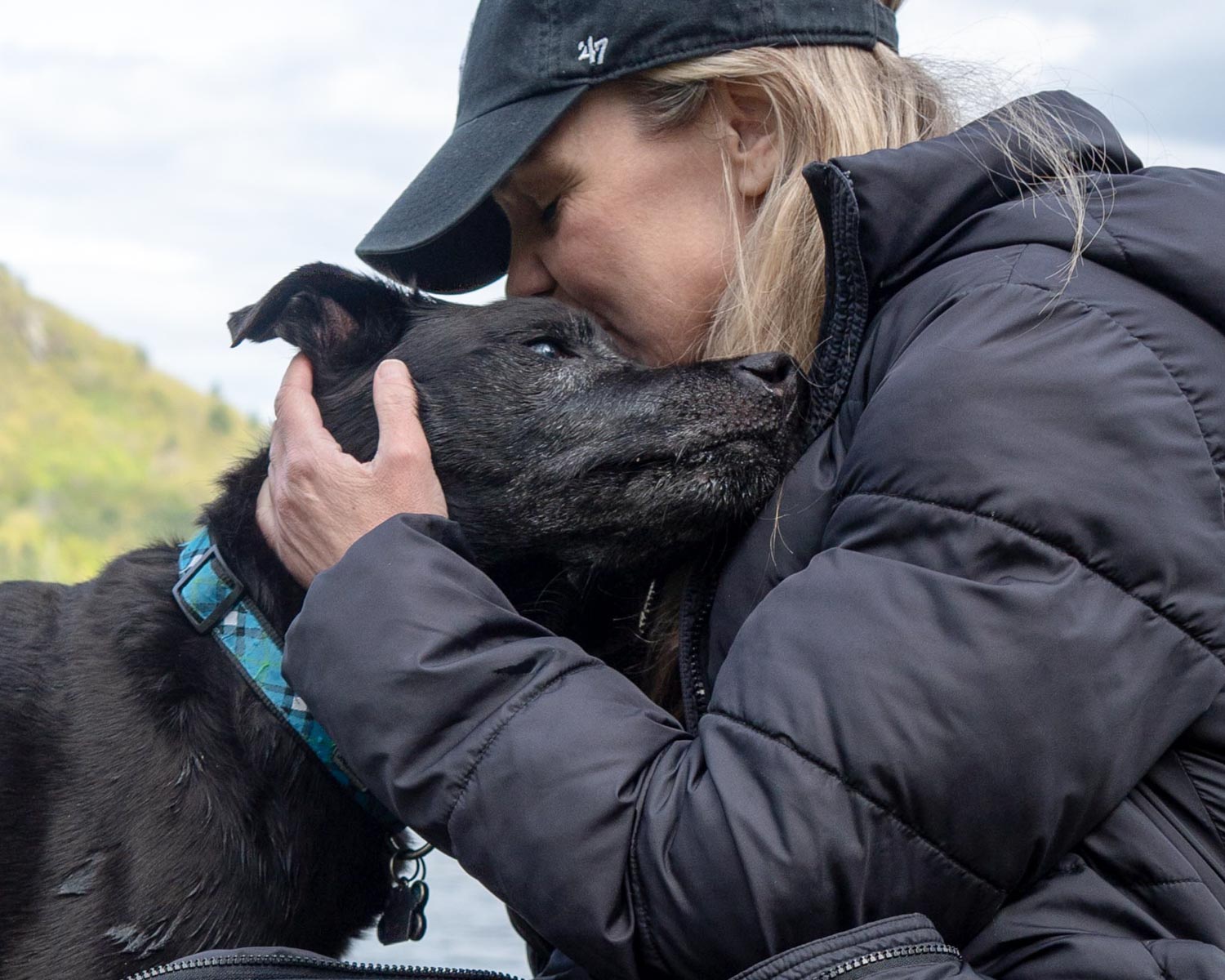 dog photographer in Saratoga NY