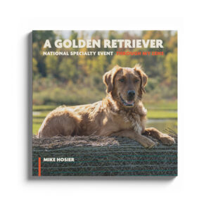 golden retriever national specialty photo book by Mike Hosier