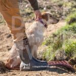 J1-3-28-26 12 – IVY