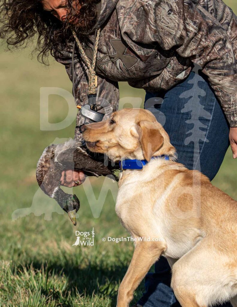 J10 3-28-26 3 – Attie II