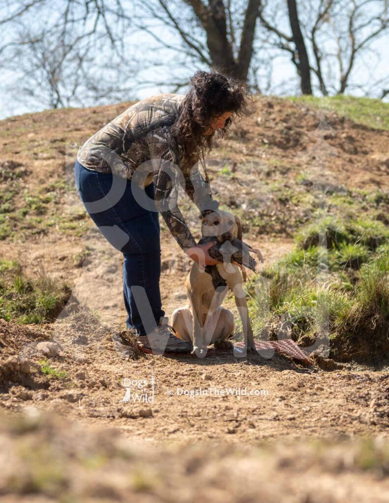 J10 3-28-26 11 – Attie II