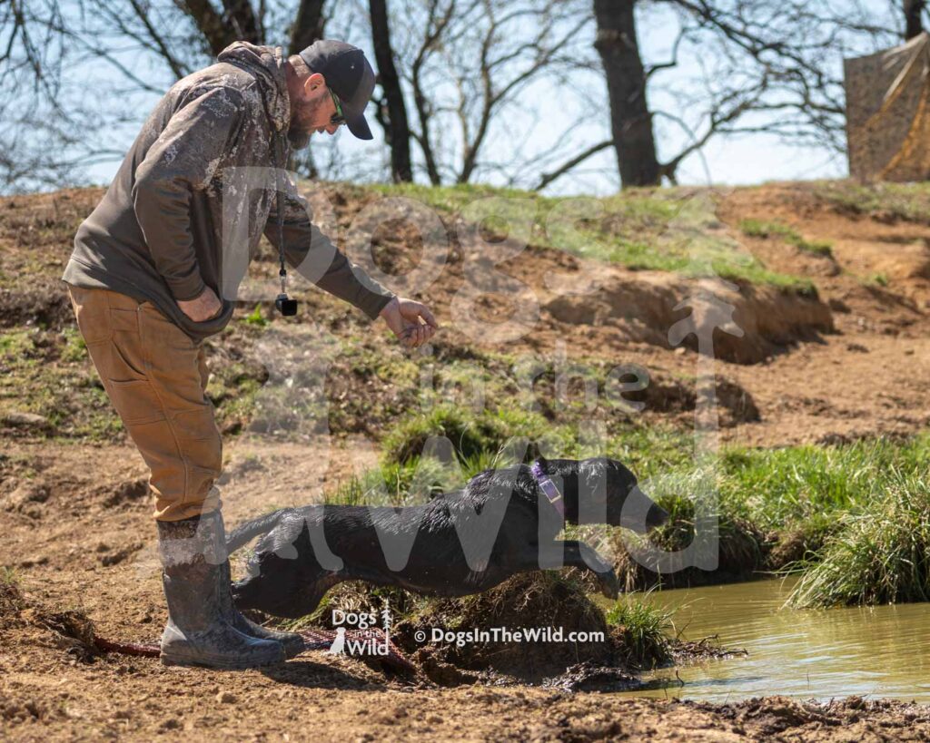 J11 3-28-26 8 – Ziva