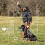J13 3-28-26 1 – COJO