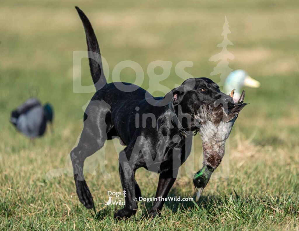 J13 3-28-26 5 – COJO