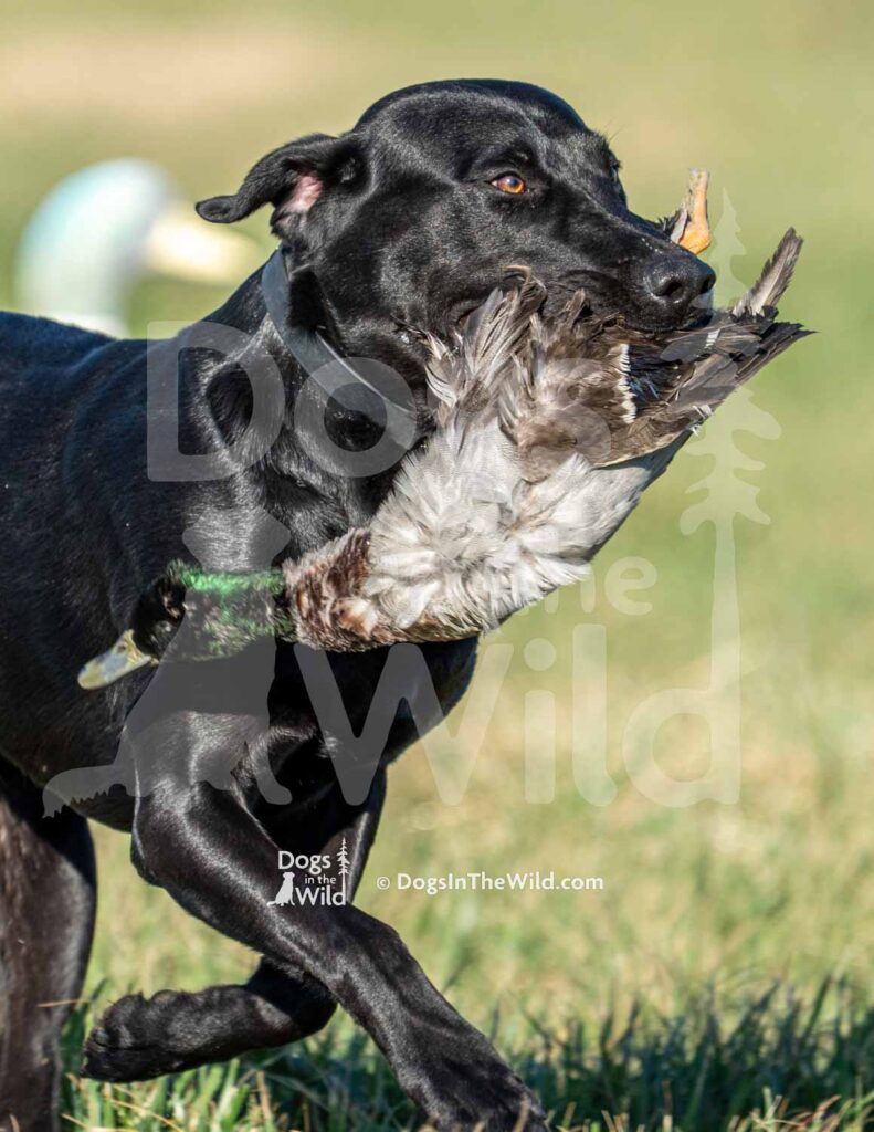 J13 3-28-26 6 – COJO