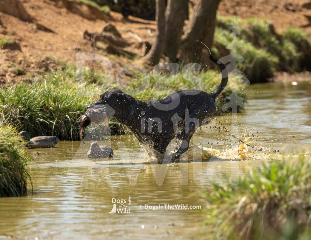 J13 3-28-26 7 – COJO