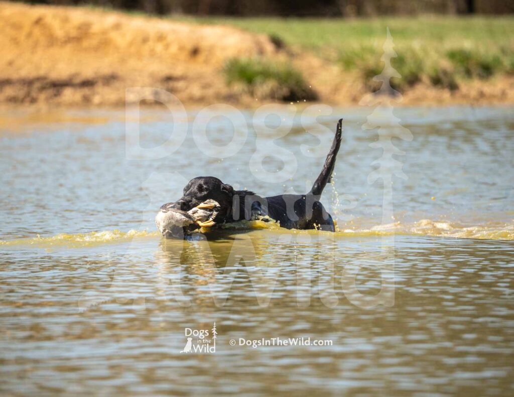 J13 3-28-26 10 – COJO