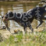 J13 3-28-26 13 – COJO
