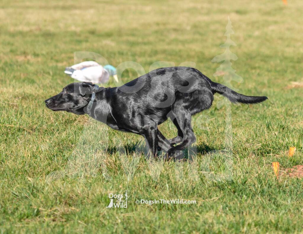 J14 3-28-26 3 – Jeager