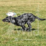 J14 3-28-26 3 – Jeager