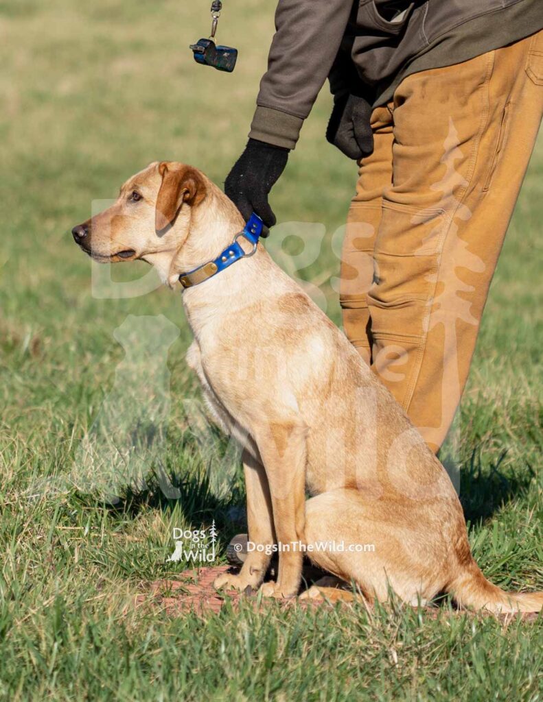 J15 3-28-26 1 – Honey