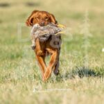 J16 3-28-26 3 – Lucy