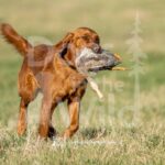 J16 3-28-26 4 – Lucy
