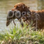 J16 3-28-26 5 – Lucy