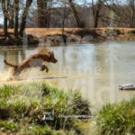 J16 3-28-26 7 – Lucy
