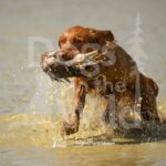 J16 3-28-26 10 – Lucy