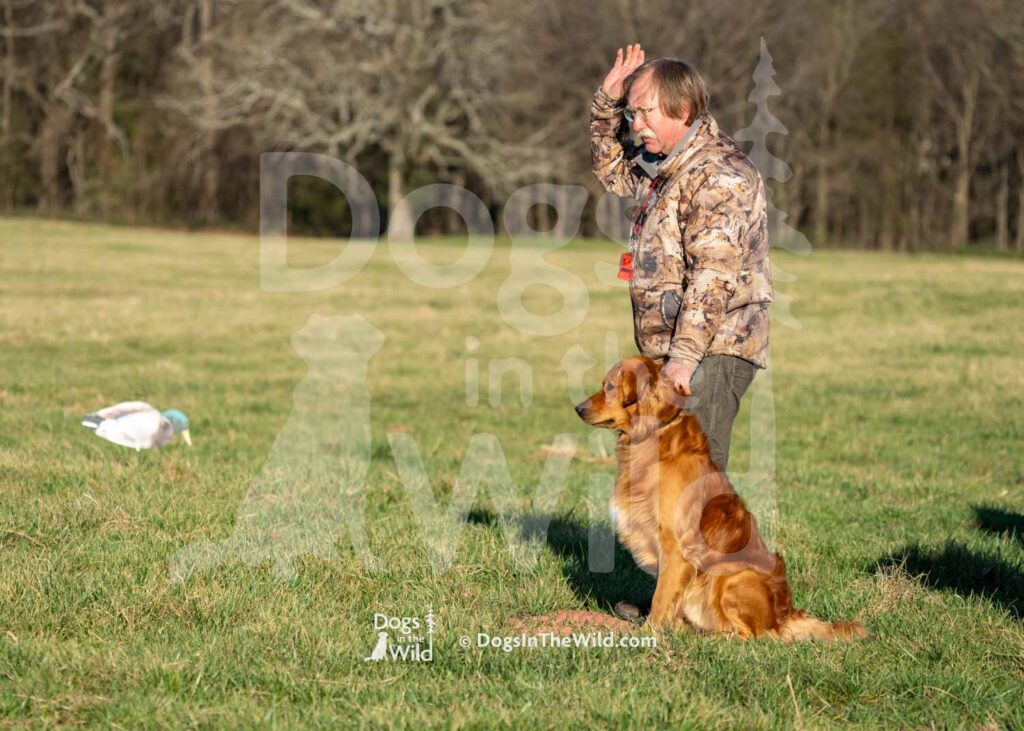 Rockerin General Morgan - J3-3-28-26 1 - Ozark Hunting Retriever Assoc