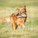 J3-3-28-26 2 – Morgan