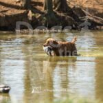 J3-3-28-26 3 – Morgan
