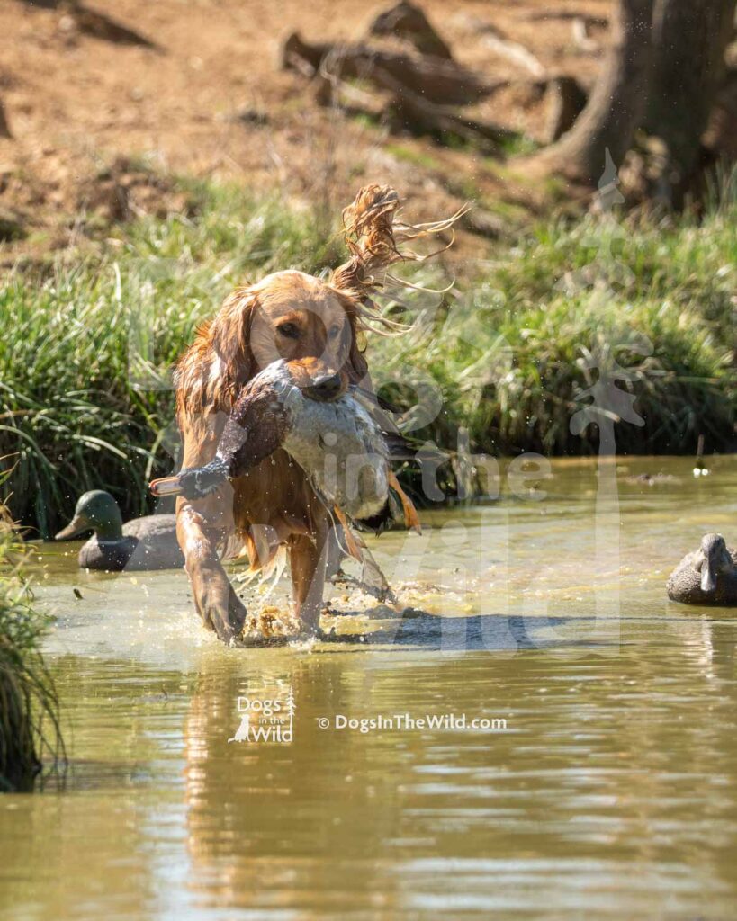 J3-3-28-26 4 – Morgan