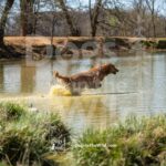 J3-3-28-26 5 – Morgan