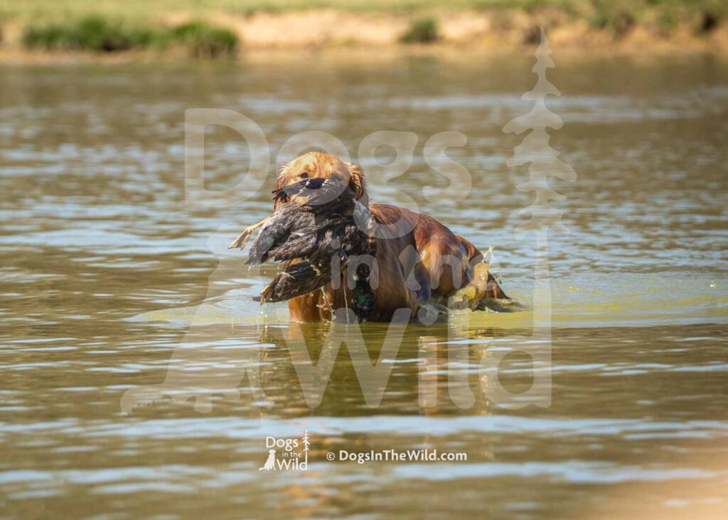 J3-3-28-26 6 – Morgan