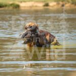 J3-3-28-26 6 – Morgan