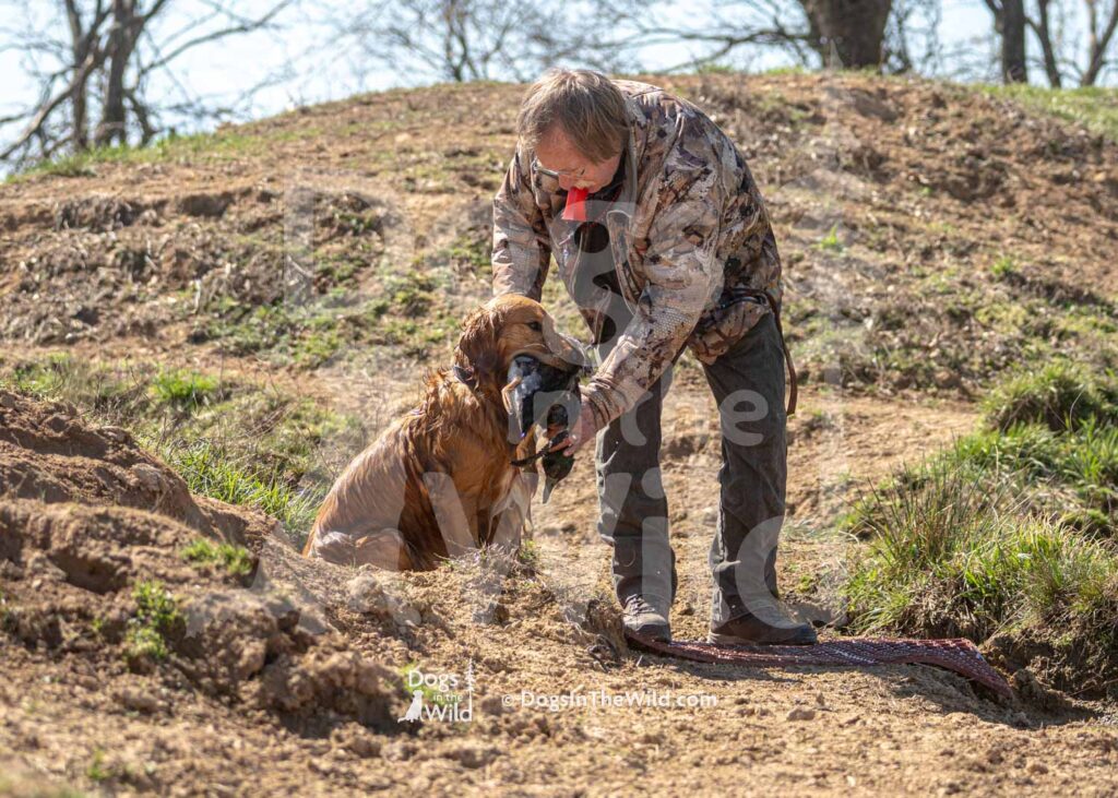 J3-3-28-26 8 – Morgan