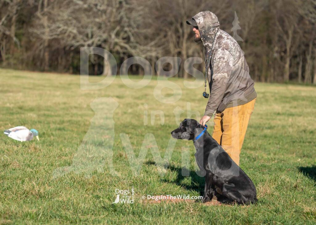 J4 3-3-28-26 1 – Mabel