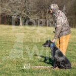 J4 3-3-28-26 1 – Mabel