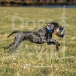 J4 3-3-28-26 2 – Mabel