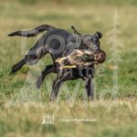 J4 3-3-28-26 4 – Mabel