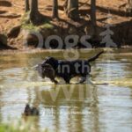 J4 3-3-28-26 6 – Mabel