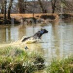 J4 3-3-28-26 7 – Mabel