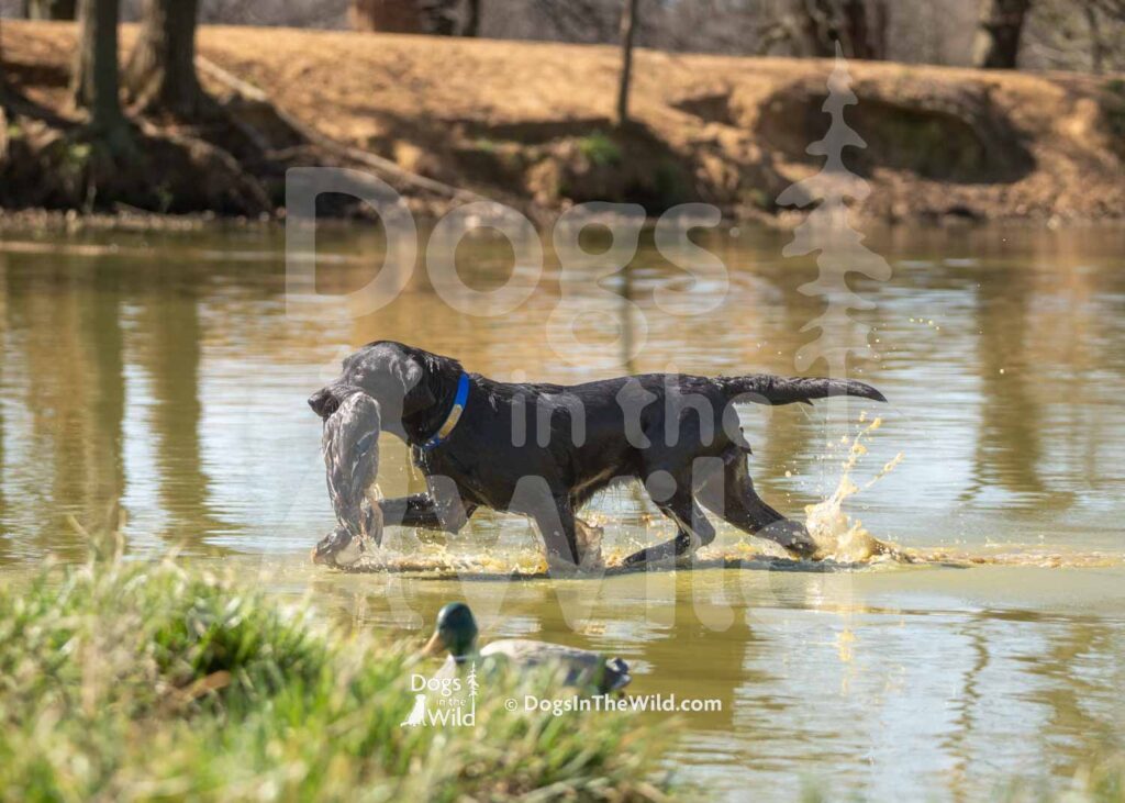 J4 3-3-28-26 9 – Mabel