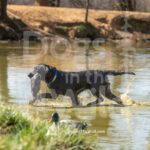 J4 3-3-28-26 9 – Mabel