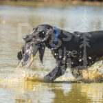 J4 3-3-28-26 11 – Mabel