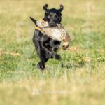 J5 3-28-26 2 – Harvey