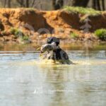 J5 3-28-26 4 – Harvey