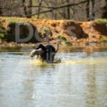 J5 3-28-26 5 – Harvey