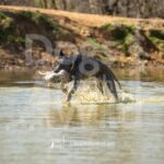 J5 3-28-26 6 – Harvey