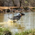 J5 3-28-26 8 – Harvey