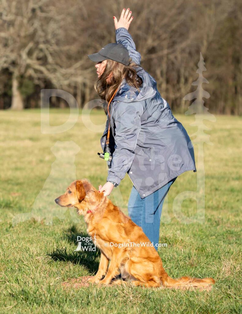 Wakemup Symphony of the Sky - J7 3-28-26 1 - Ozark Hunting Retriever Assoc