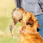 J7 3-28-26 7 – Kota